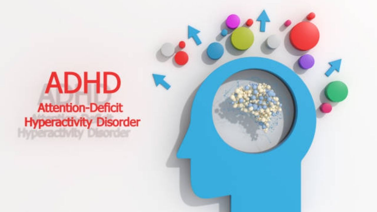 ADHD brain vs normal brain