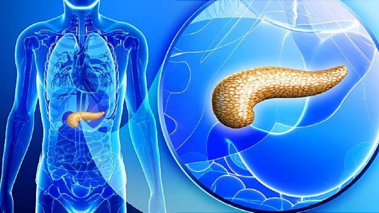 Pancreatitis: Symptoms, Causes, Treatment & Tips