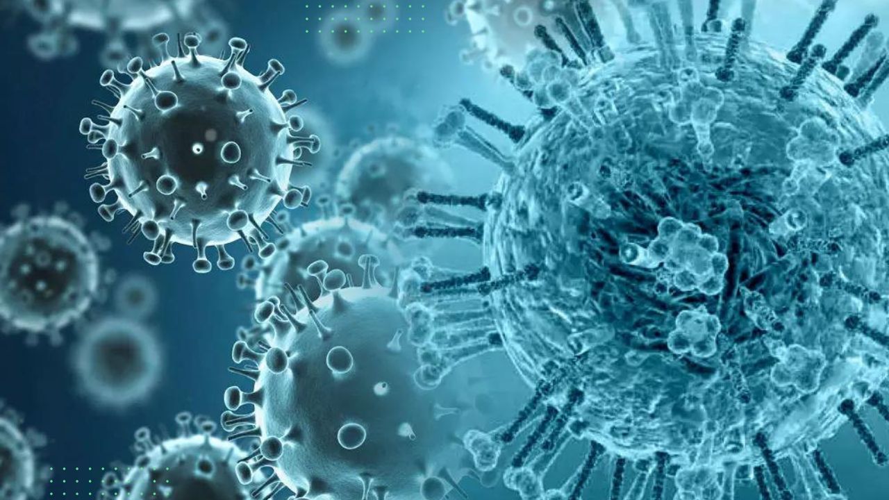 Influenza B Virus